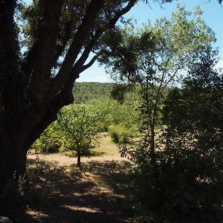 Les Magnans * Gailhan