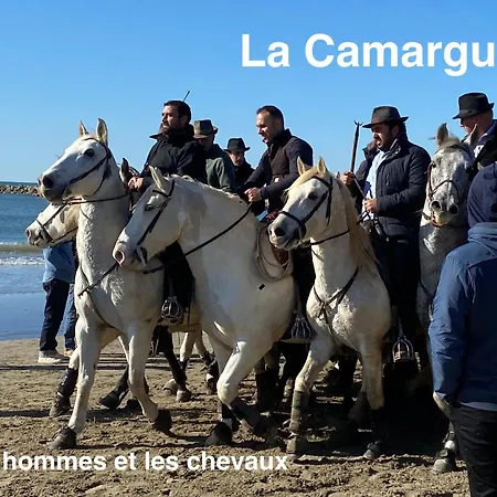 Les Magnans * Gailhan