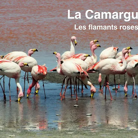 Les Magnans Daire