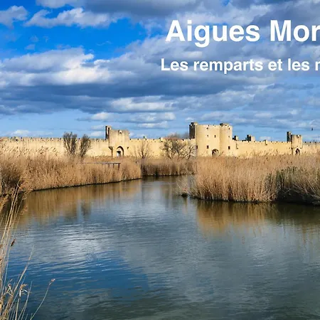 Daire Les Magnans *